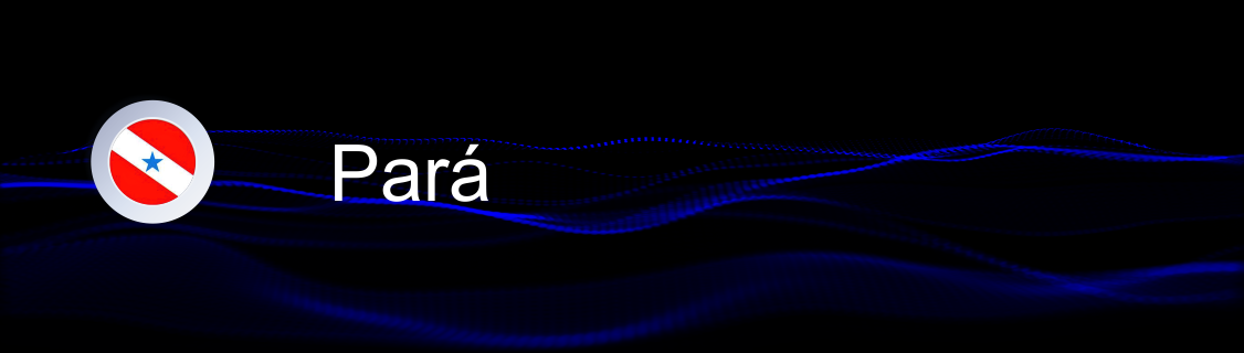 Banner Rádios do Pará
